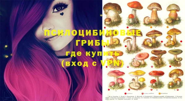 марки nbome Баксан