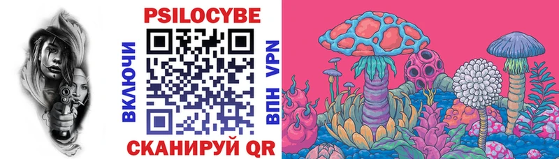 Галлюциногенные грибы Psilocybe  Купить где  Ливны 